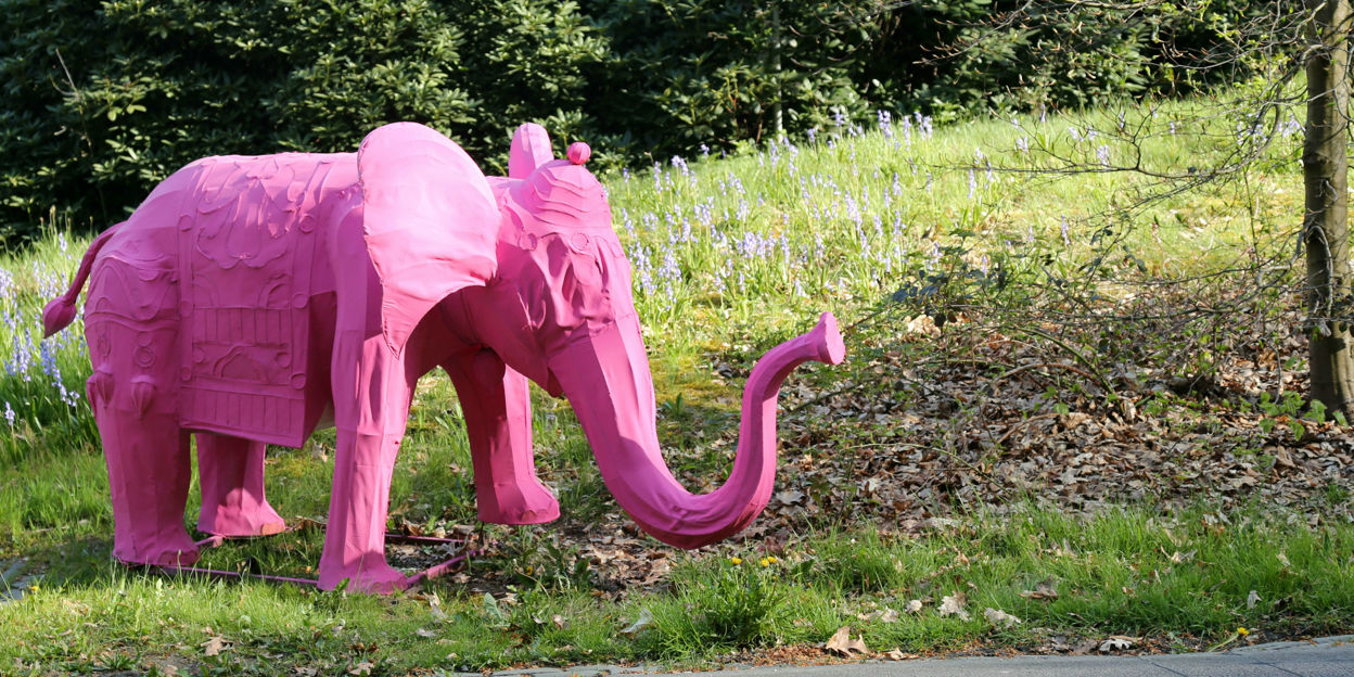 Burgers’ Zoo Sonntag besuchen und der Giro zusehen!