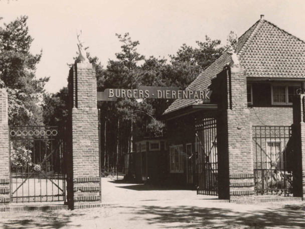 Eine Zweitniederlassung (1932)